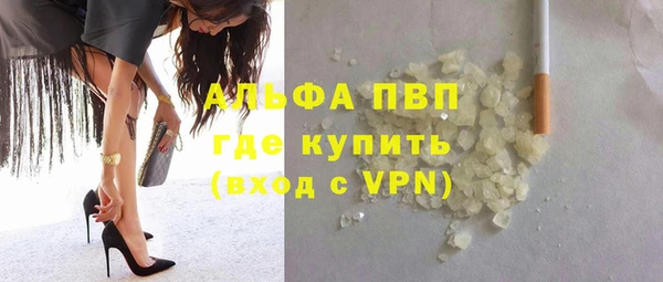 прущие грибы Богородск