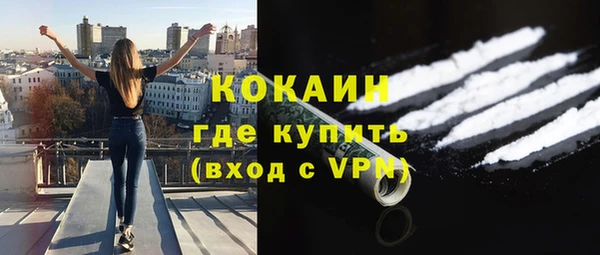 прущие грибы Богородск