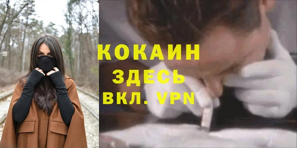 винт Богородицк