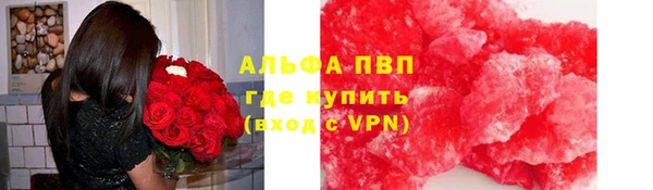 прущие грибы Богородск