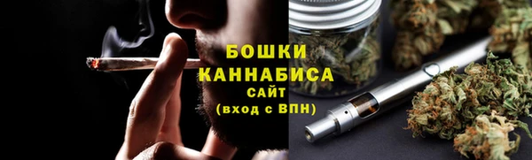 прущие грибы Богородск
