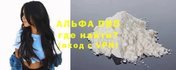 прущие грибы Богородск