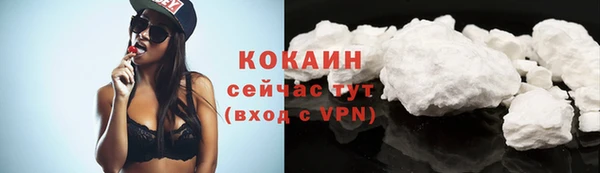стафф Богданович