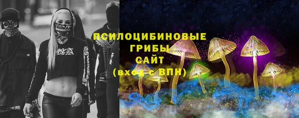стафф Богданович
