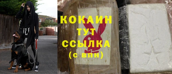 прущие грибы Богородск